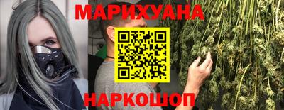 прущие крисы Моздок