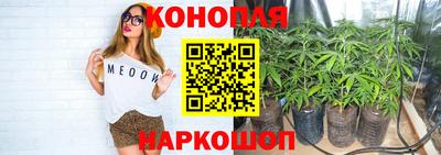 сатива Можайск