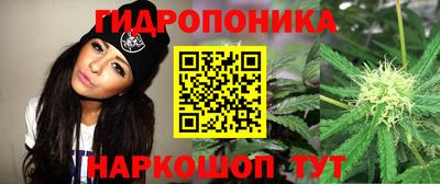 мдпв Свободный
