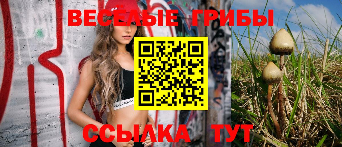 Галлюциногенные грибы прущие грибы  Вход с VPN  Октябрьский  Галлюциногенные грибы мухоморы 